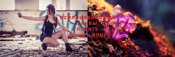 ECSTASY Аркадак