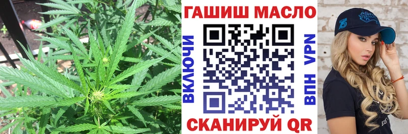 Дистиллят ТГК гашишное масло  Купить где  Дмитриев 