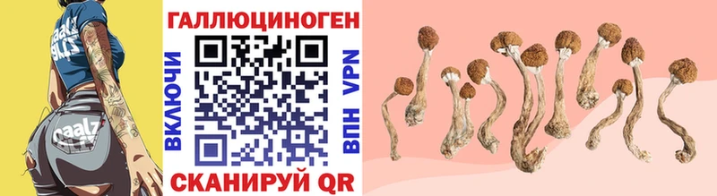 Купить  Дмитриев  Псилоцибиновые грибы ЛСД 